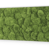 Moosbild Ballenmoos 140x40 cm Finestgreen 