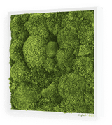 Moosbild Ballenmoos 35x35 cm Finestgreen 