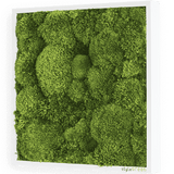 Moosbild Ballenmoos 35x35 cm Finestgreen 