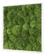 Moosbild Ballenmoos 55x55 cm Finestgreen 