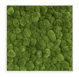 Moosbild Ballenmoos 80x80 cm Finestgreen [mc]