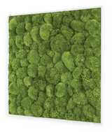 Moosbild Ballenmoos 80x80 cm Finestgreen 