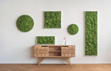 Moosbild Ballenmoos 55x55 cm Finestgreen 