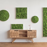 Moosbild Ballenmoos 57x27 cm Finestgreen 