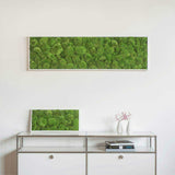 Moosbild Ballenmoos 140x40 cm Finestgreen 