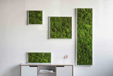 Moosbild Ballenmoos 35x35 cm Finestgreen 