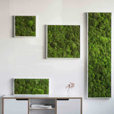 Moosbild Ballenmoos 35x35 cm Finestgreen 