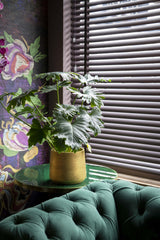 Patt Gold Washed Pflanzkübel Gold aus Fiberclay in Beton-Optik – für Innen & Außen
