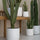 Kaktus Cereus Künstlich H: 55cm Finestgreen 