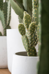 Kaktus Opuntia Künstlich H: 72 cm Finestgreen 