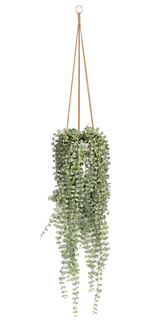 Künstliche Senecio Erbsenpflanze von Pottery Pots in einem modernen Topf, grüne Blätter und realistische Details.