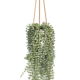 Künstliche Senecio Erbsenpflanze von Pottery Pots in einem modernen Topf, grüne Blätter und realistische Details.