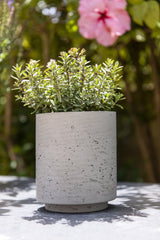 Suzi Grey Washed – Offenporige Fiberclay-Oberfläche in Beton-Optik || Offenporige Oberfläche
