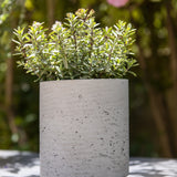 Suzi Grey Washed – Offenporige Fiberclay-Oberfläche in Beton-Optik || Offenporige Oberfläche