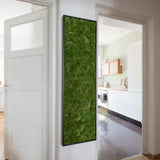 Moosbild Ballenmoos 140x40 cm Finestgreen 