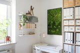 Moosbild Verlauf Wald- und Ballenmoos 100x60 cm Finestgreen 