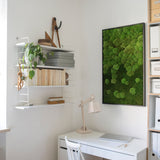 Moosbild Verlauf Wald- und Ballenmoos 100x60 cm Finestgreen 
