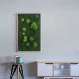 Moosbild Wald- und Ballenmoos 100x60 cm Finestgreen 