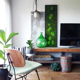 Moosbild Wald- und Ballenmoos 140x40 cm Finestgreen 