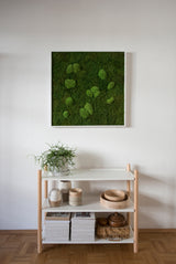 Moosbild Wald- und Ballenmoos 80x80 cm Finestgreen 