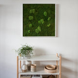 Moosbild Wald- und Ballenmoos 80x80 cm Finestgreen 