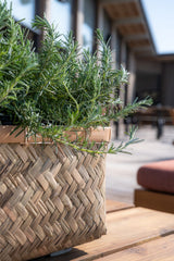 Pflanzkorb Bohemian Nouri Finestgreen 