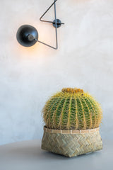 Pflanzkorb Bohemian Nala Low Finestgreen 