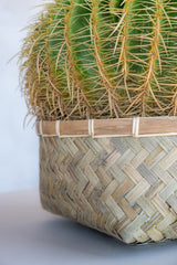 Pflanzkorb Bohemian Nala Low Finestgreen 