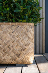 Pflanzkorb Bohemian Rafi Finestgreen 
