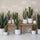 Kaktus Cereus Künstlich H: 55cm Finestgreen 