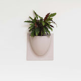 VertiPlants Wandgefäß aus pflanzlichen Materialien - Finestgreen