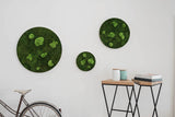 Moosbild ELLIPSOID Flach- und Ballenmoos 3er Set Finestgreen 