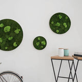 Moosbild ELLIPSOID Flach- und Ballenmoos 3er Set Finestgreen 