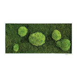 Moosbild Wald- und Ballenmoos 57x27 cm Finestgreen [mc]