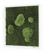 Moosbild Wald- und Ballenmoos 35x35 cm Finestgreen 