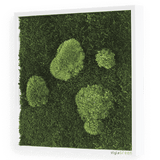 Moosbild Wald- und Ballenmoos 35x35 cm Finestgreen 