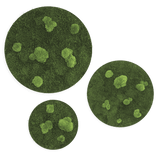 Moosbild ELLIPSOID Flach- und Ballenmoos 3er Set Finestgreen [mc]