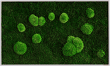 Moosbild Wald- und Ballenmoos 100x60 cm Finestgreen [mc]