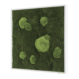 Moosbild Wald- und Ballenmoos 55x55 cm Finestgreen 