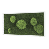 Moosbild Wald- und Ballenmoos 57x27 cm Finestgreen 