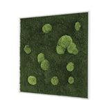 Moosbild Wald- und Ballenmoos 80x80 cm Finestgreen 