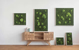 Moosbild Wald- und Ballenmoos 55x55 cm Finestgreen 