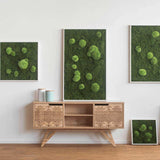 Moosbild Wald- und Ballenmoos 55x55 cm Finestgreen 