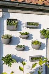 Hanging Wally Puk Grau aus Fiberstone – verschiedene Wally-Formen im Vergleich