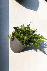 Hanging Wally Puk Wandpflanzschale Grau aus Fiberstone – runde Wandschale im Lifestyle