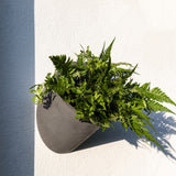 Hanging Wally Puk Wandpflanzschale Grau aus Fiberstone – runde Wandschale im Lifestyle