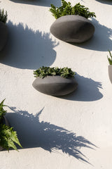 Hanging Wally Mini Tara Wandpflanzschale Grau aus Fiberstone – runde Wandschale im Lifestyle