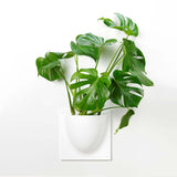 VertiPlants Wandgefäß aus pflanzlichen Materialien - Finestgreen [mc]