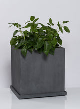 Untersetzer Block Grau Finestgreen 