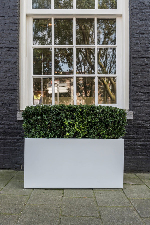 Rechteckiger Pflanzkübel Jort Matt Weiß aus Fiberstone